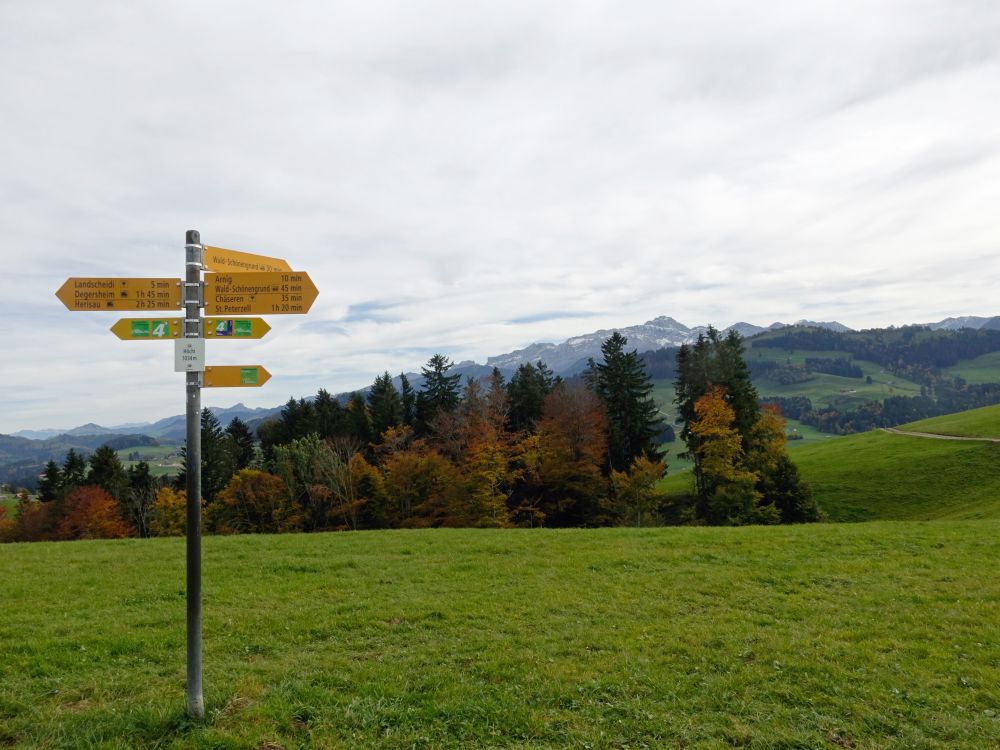 Wanderwegweiser mit Säntis