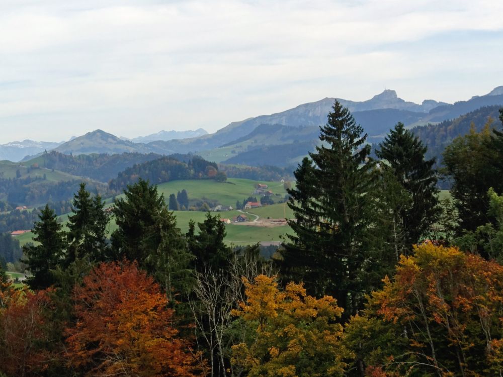 Fähnerenspitz, Kamor und Hoher Kasten