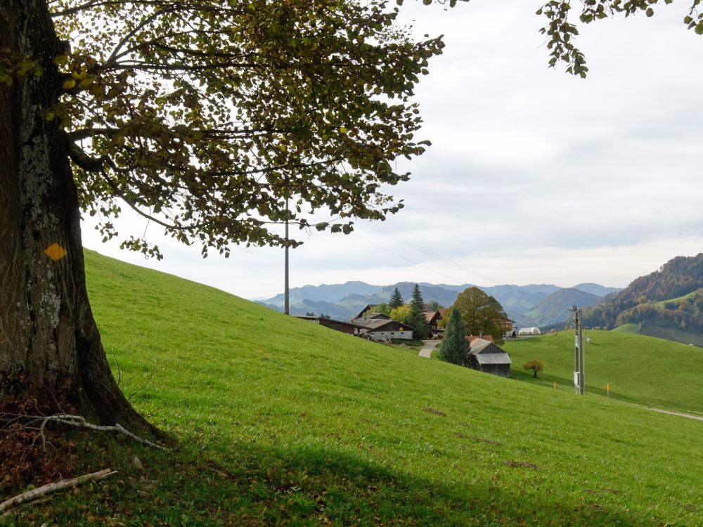 Bauernhof bei Arnig