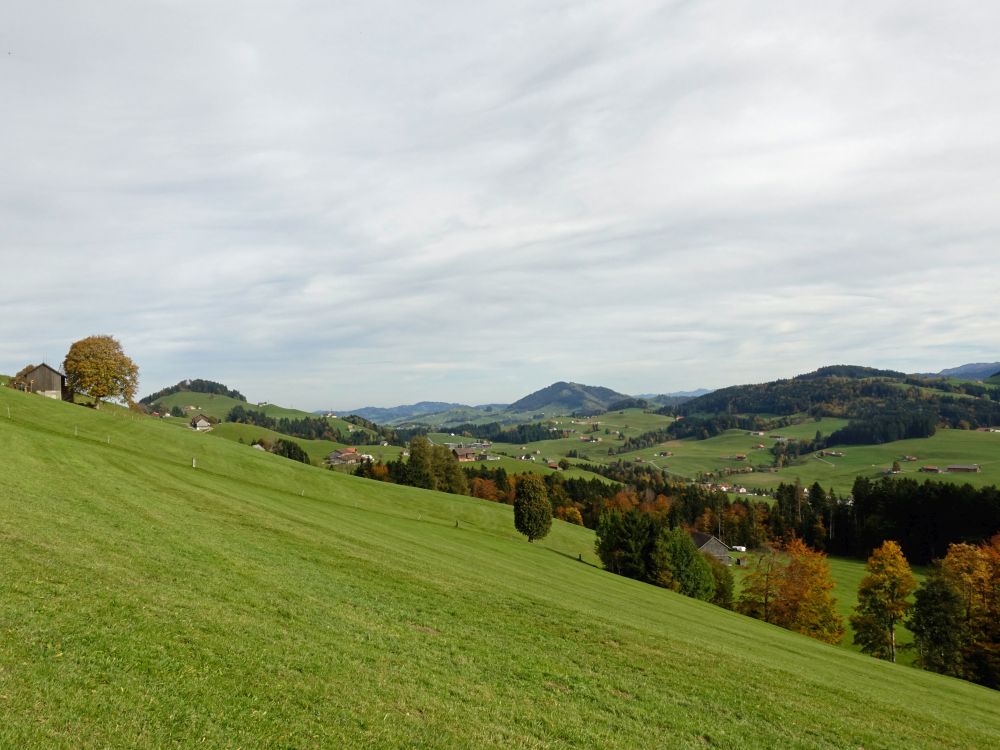 Blick Richtung Hundwiler Höhe