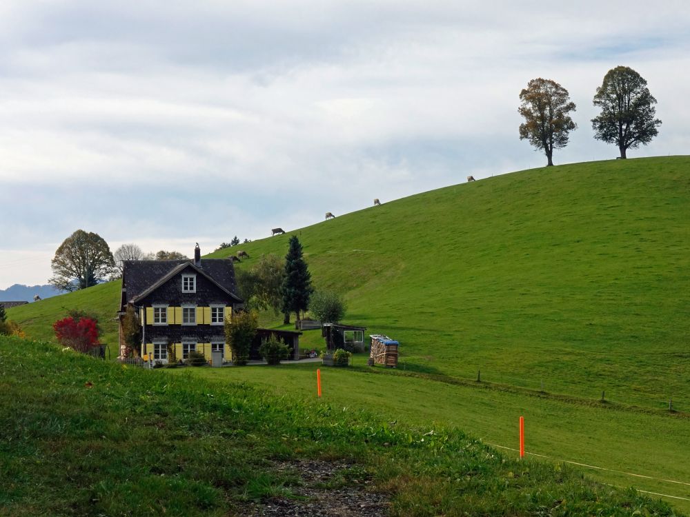 Haus bei Lindschwendi