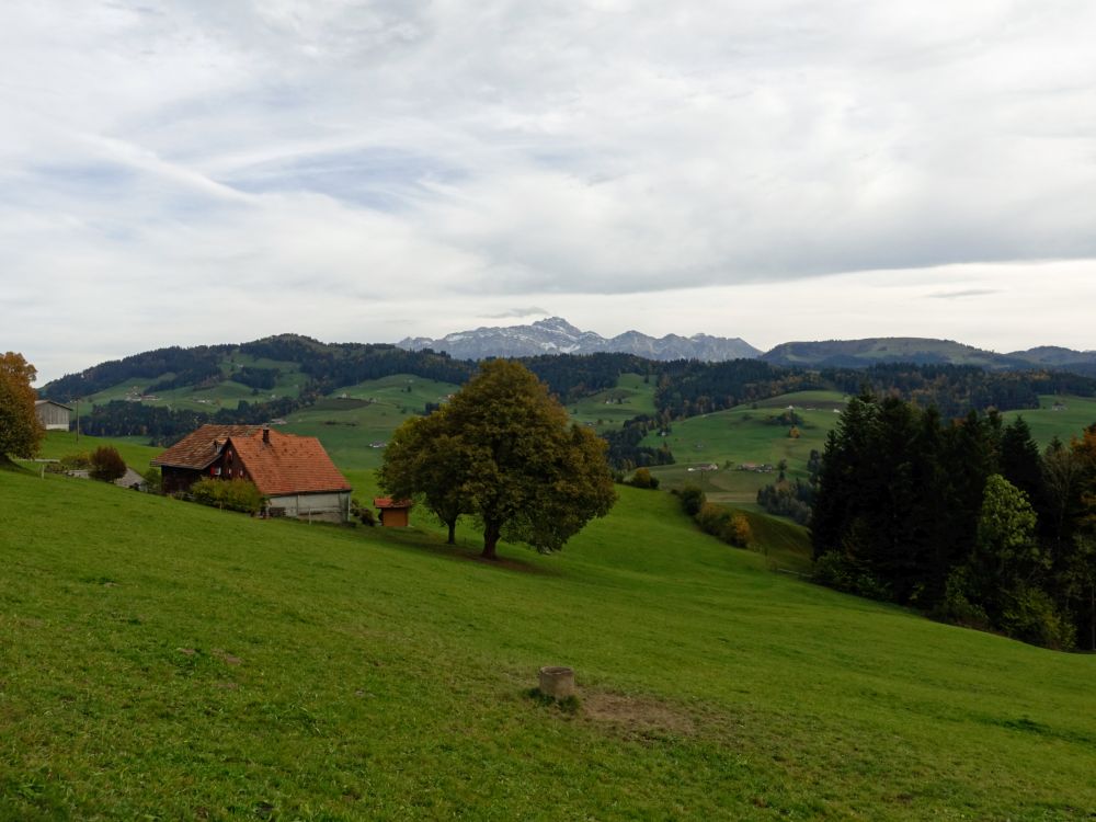 Blick Richtung Säntis