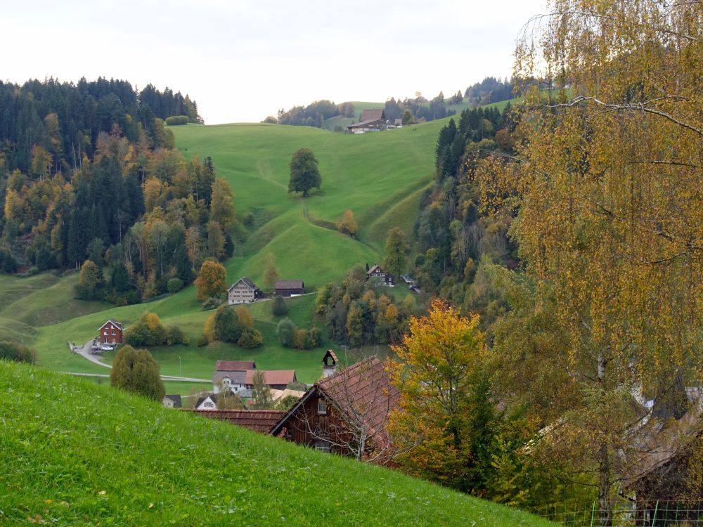 Bädli oberhalb Neckerwis