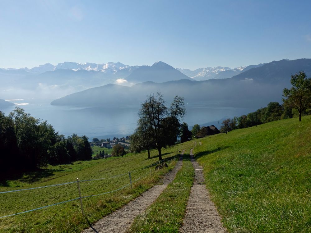 Bürgenstock und Buochserhorn