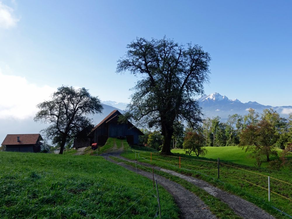 Stutzberg und Pilatus