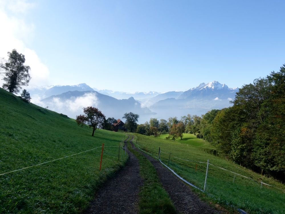 Stutzberg mit Bürgenstock und Pilatus