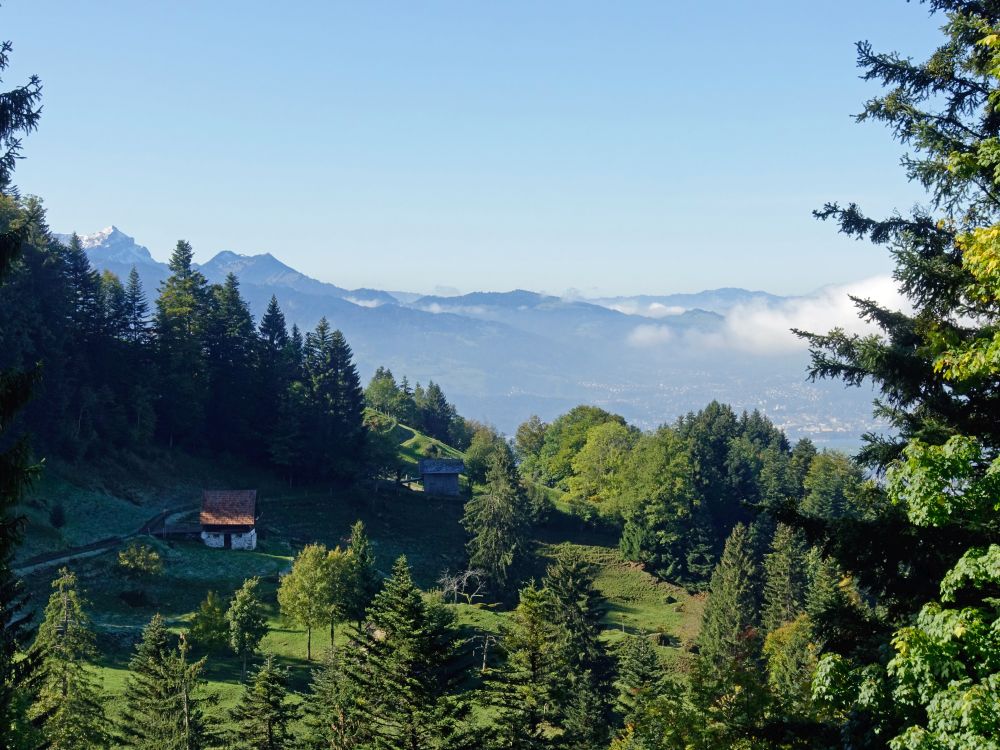 Häuschen am Bergli