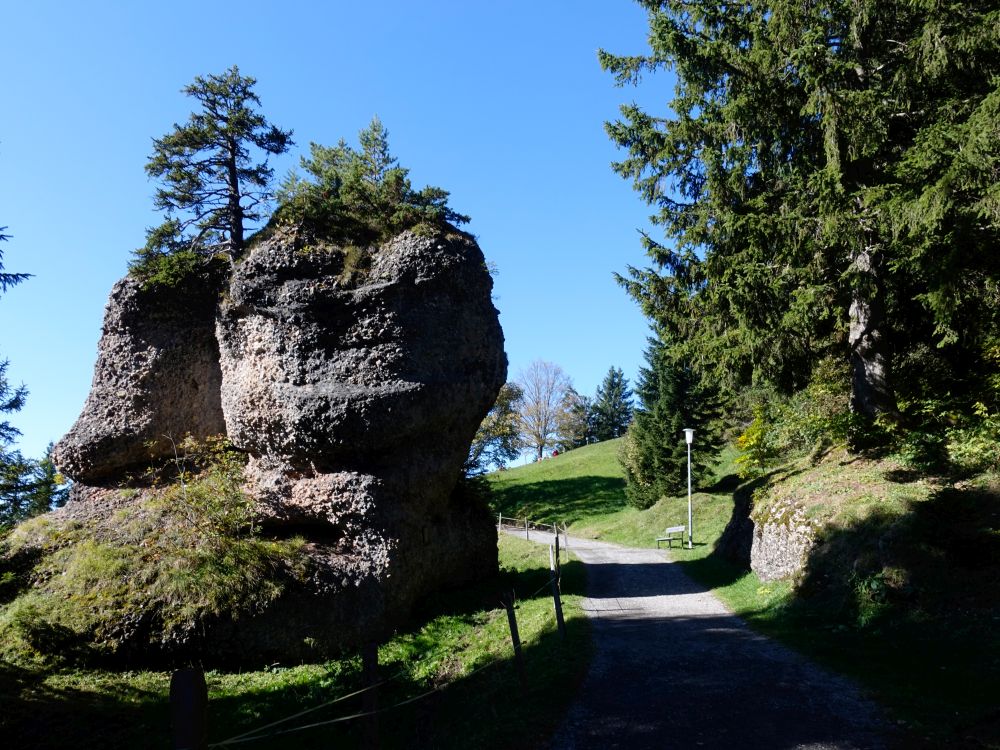 Fels am Chänzeliweg