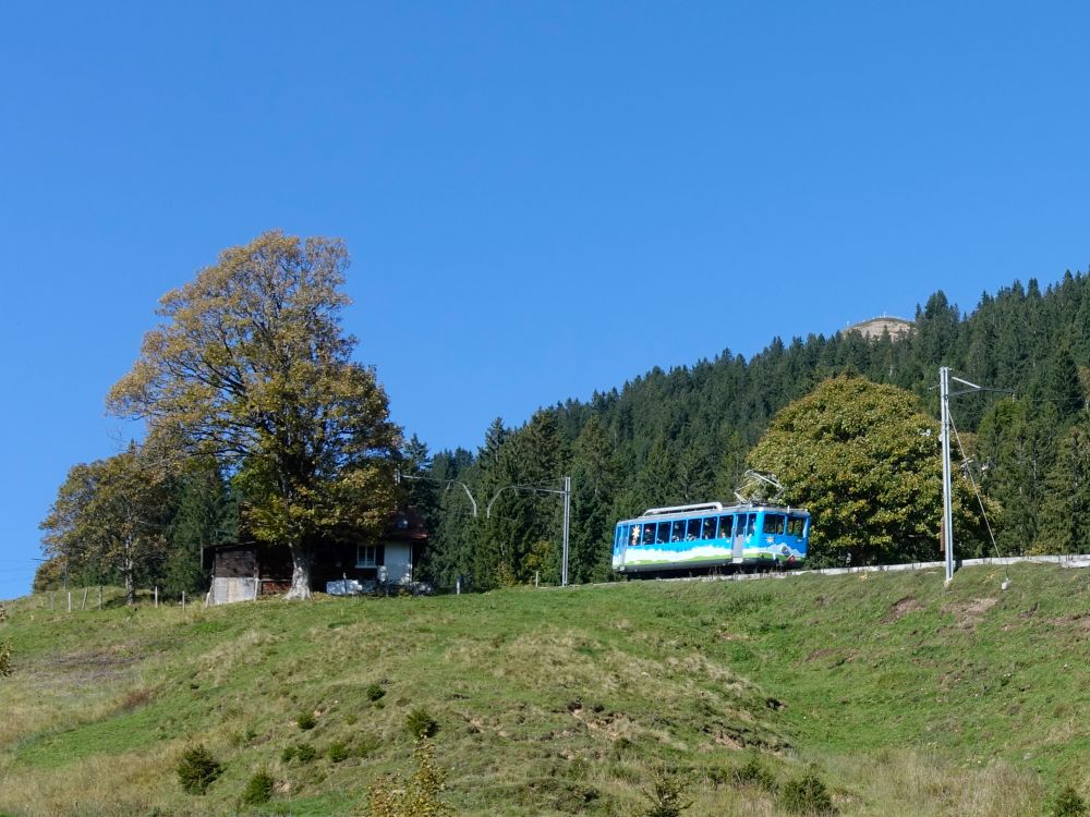 Zahnradbahn