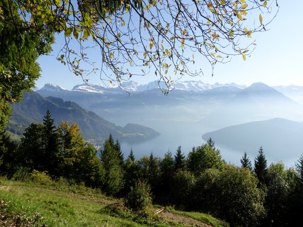 Niderbauen bis Buochserhorn