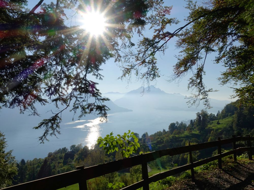 Pilatus und Vierwaldstättersee im Gegenlicht