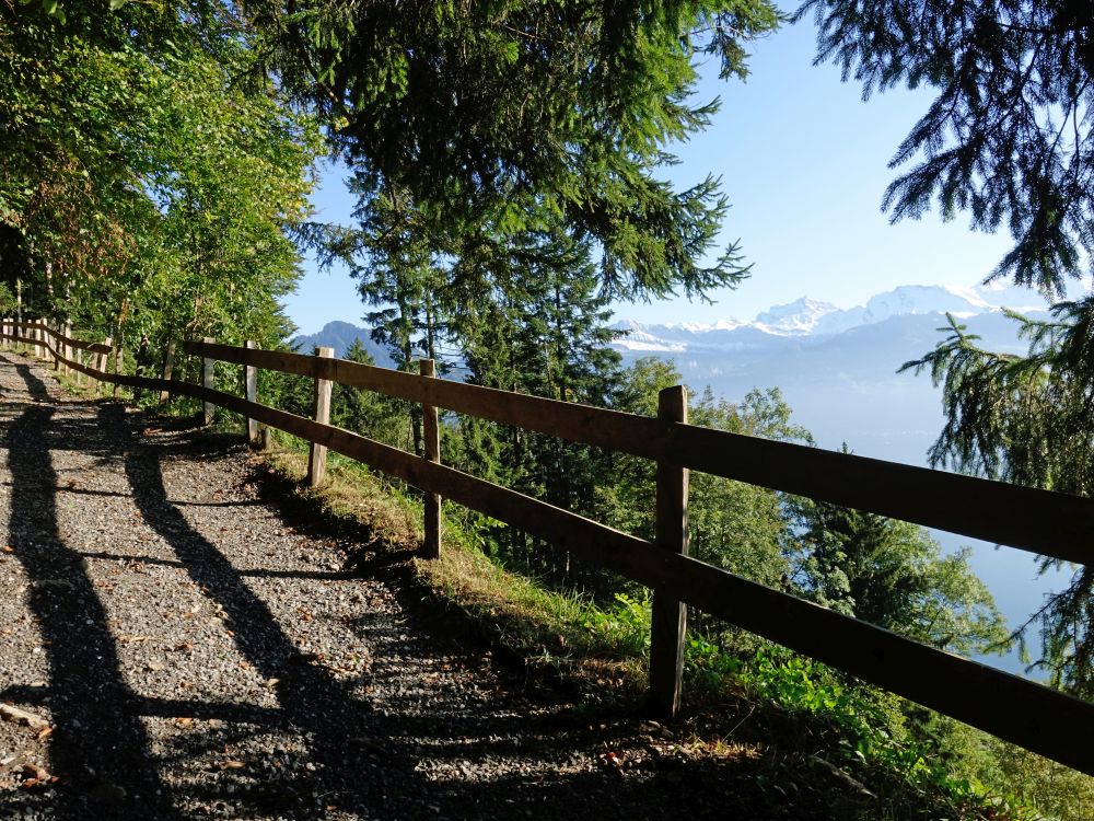 Wanderweg mit Bergsicht