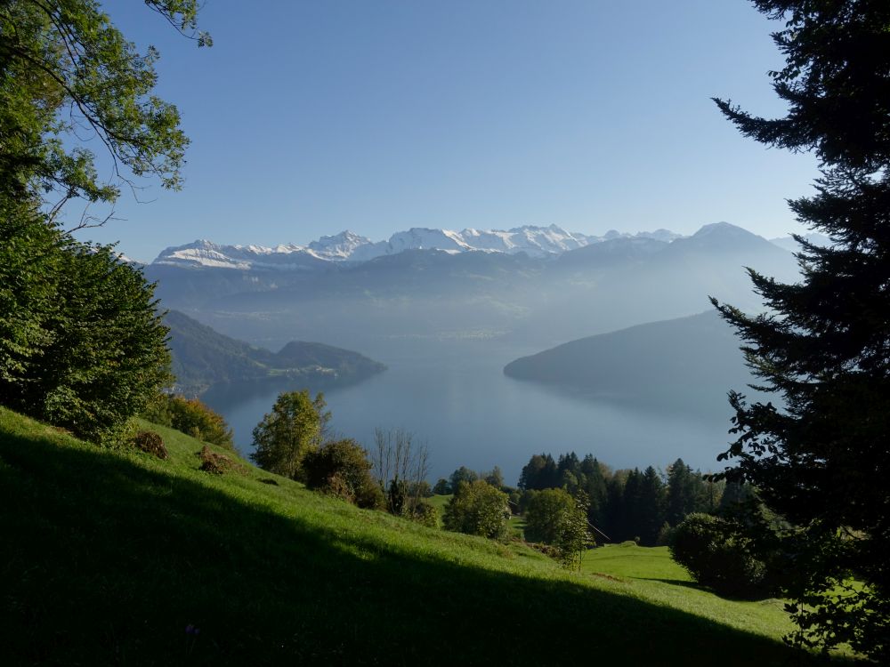 Vierwaldstättersee mit Niderbauen und Buochserhorn