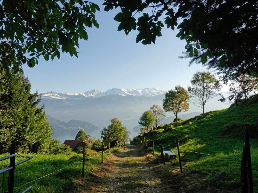 Weg bei Ober Säntiberg