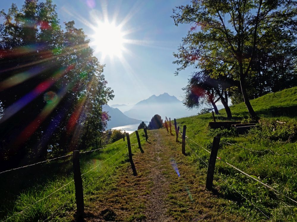 Vierwaldstättersee und Pilatus im Gegenlicht