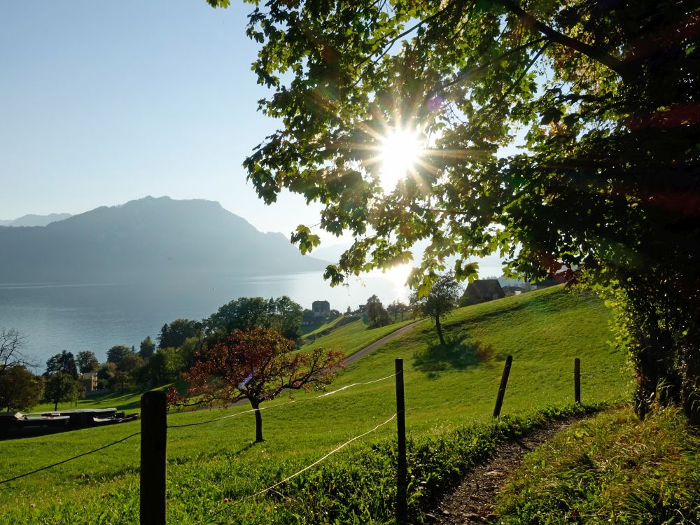 Bürgenstock und Gegenlicht