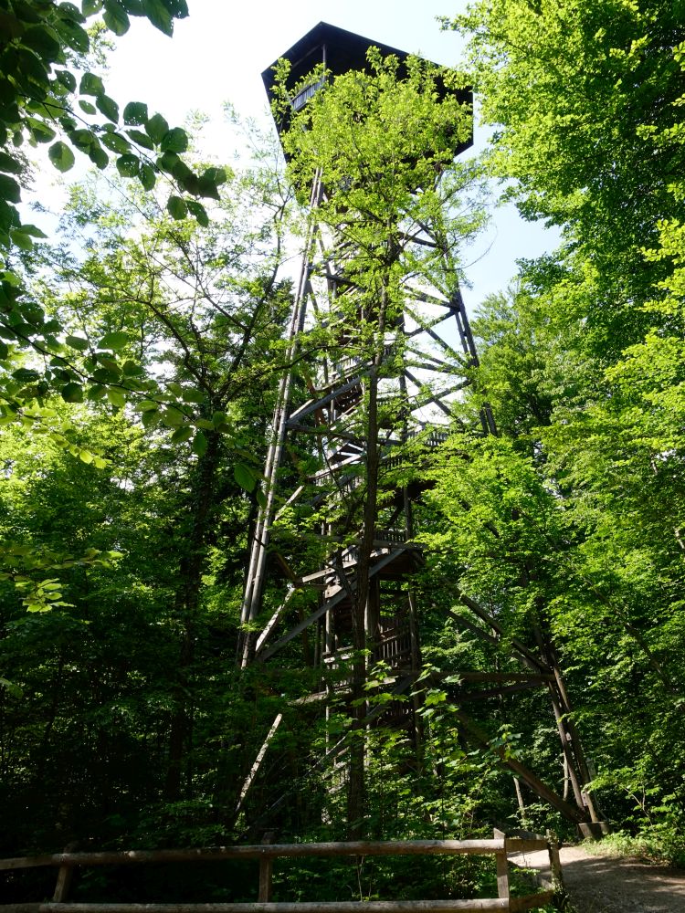 Aussichtsturm Lorenchopf