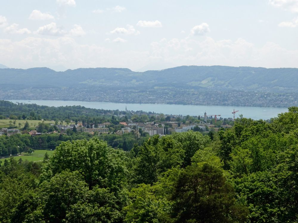 Blick zum Zürichsee