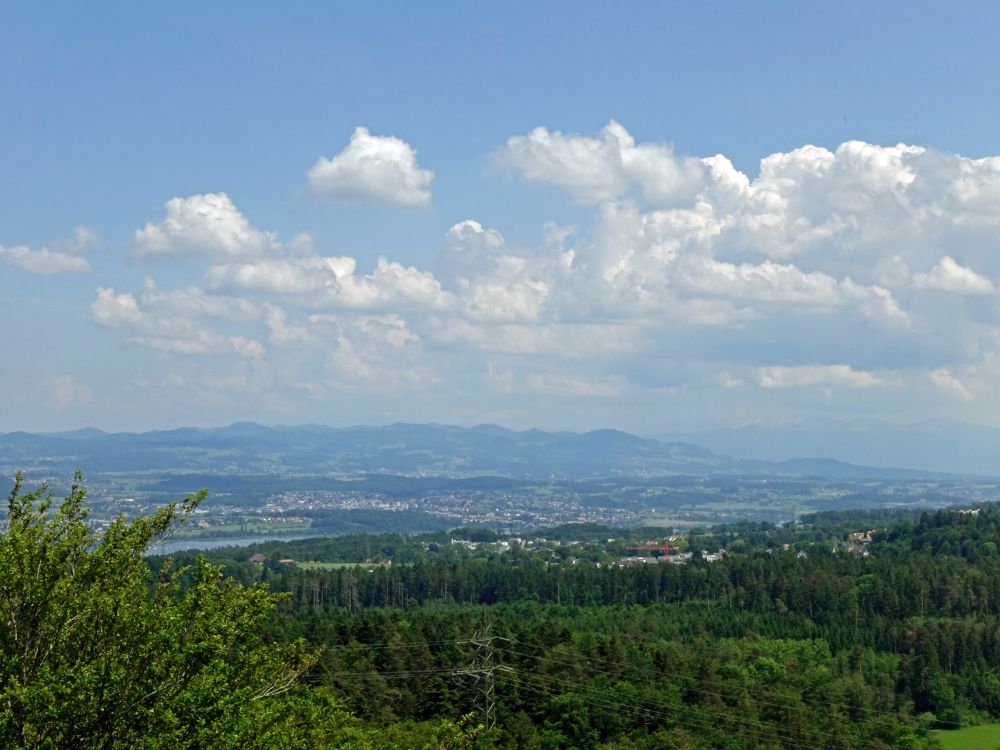 Blick zum Greifensee