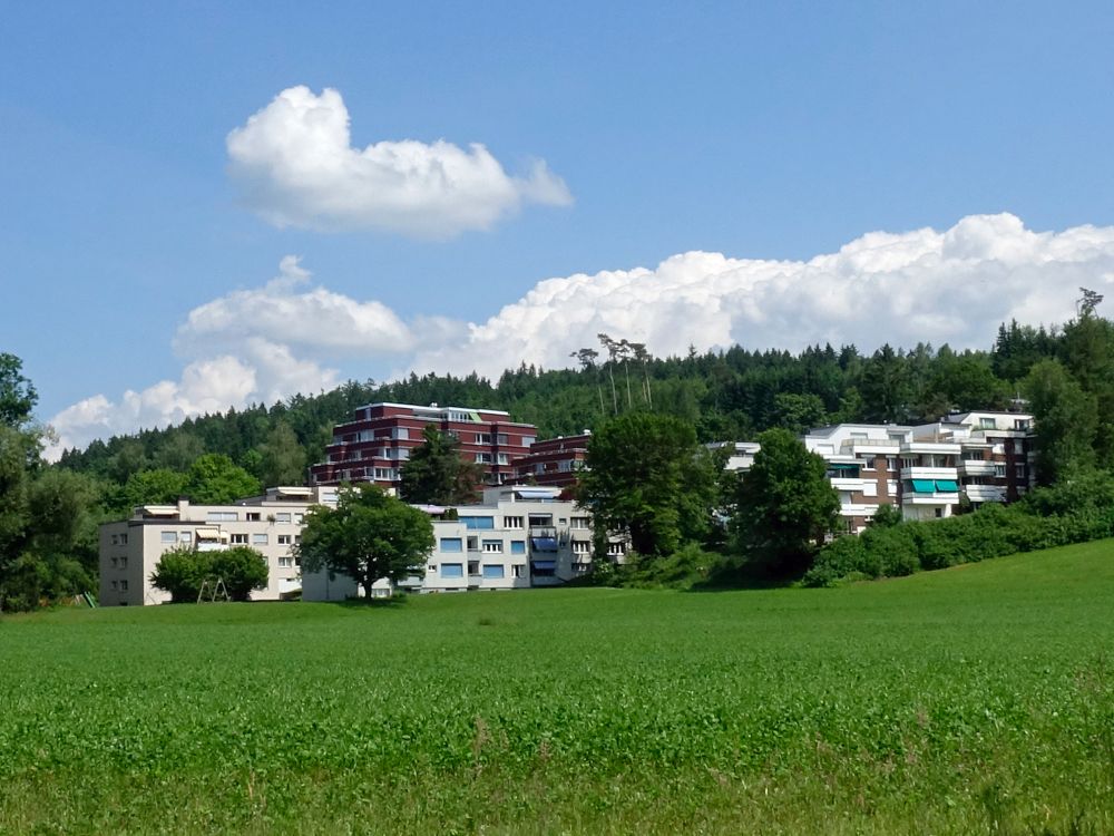 Siedlung bei Harsplen