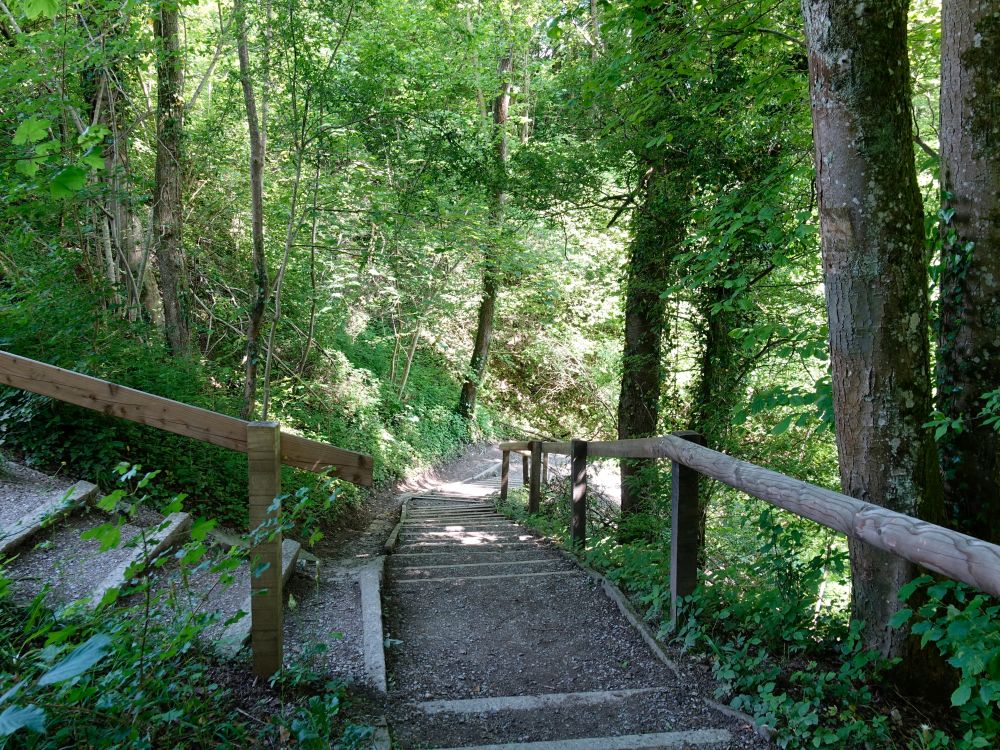 Treppe im Stöckentobel