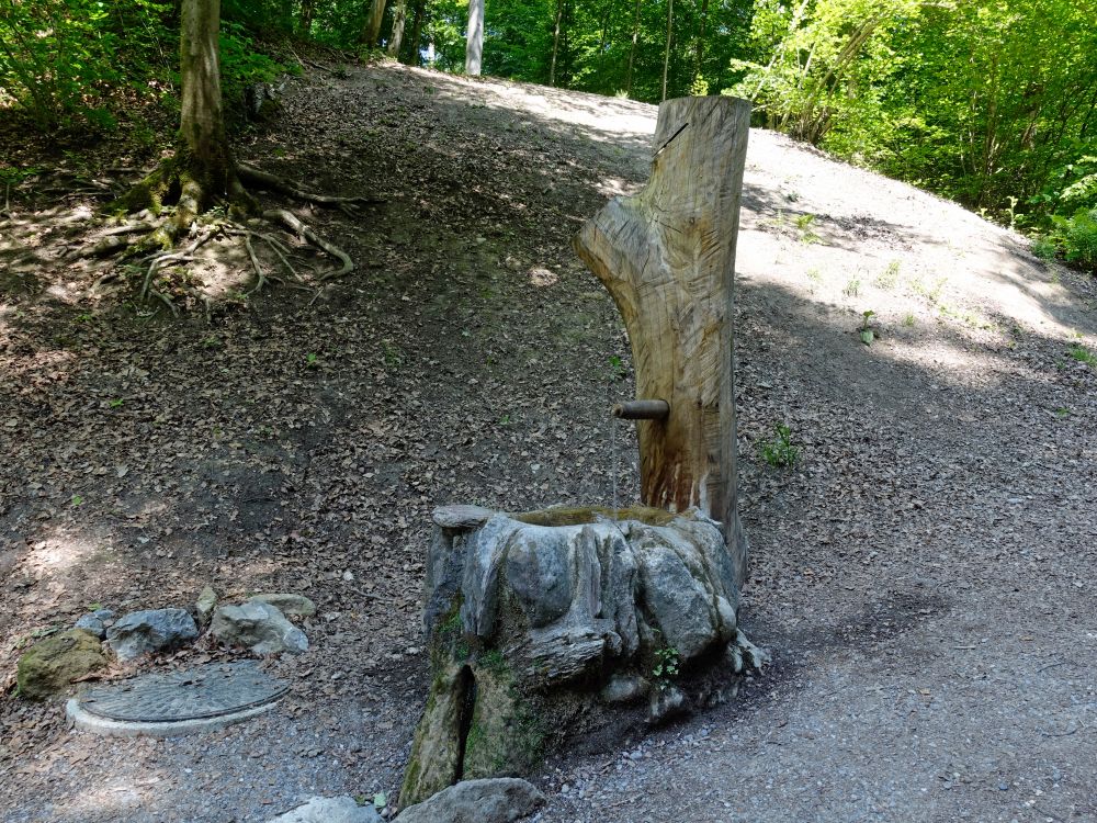 Brunnen im Stöckentobel