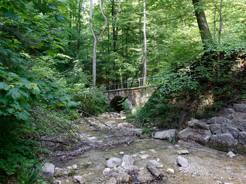 Steinbrücke im Stöckentobel