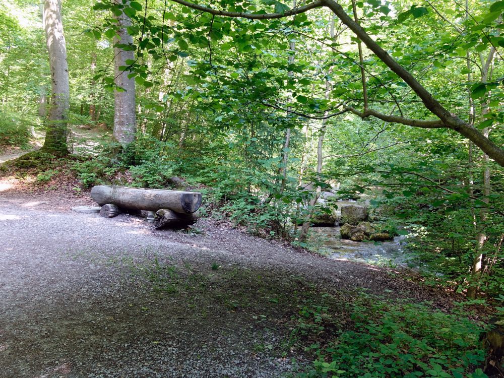 Brunnen im Werenbachtobel