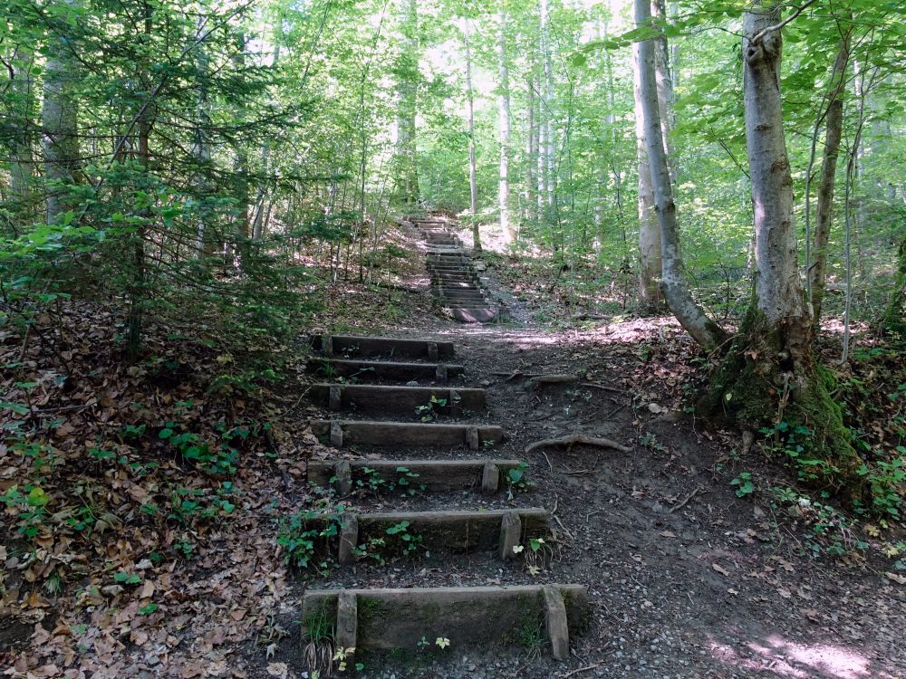 Treppe im Werenbachtobel