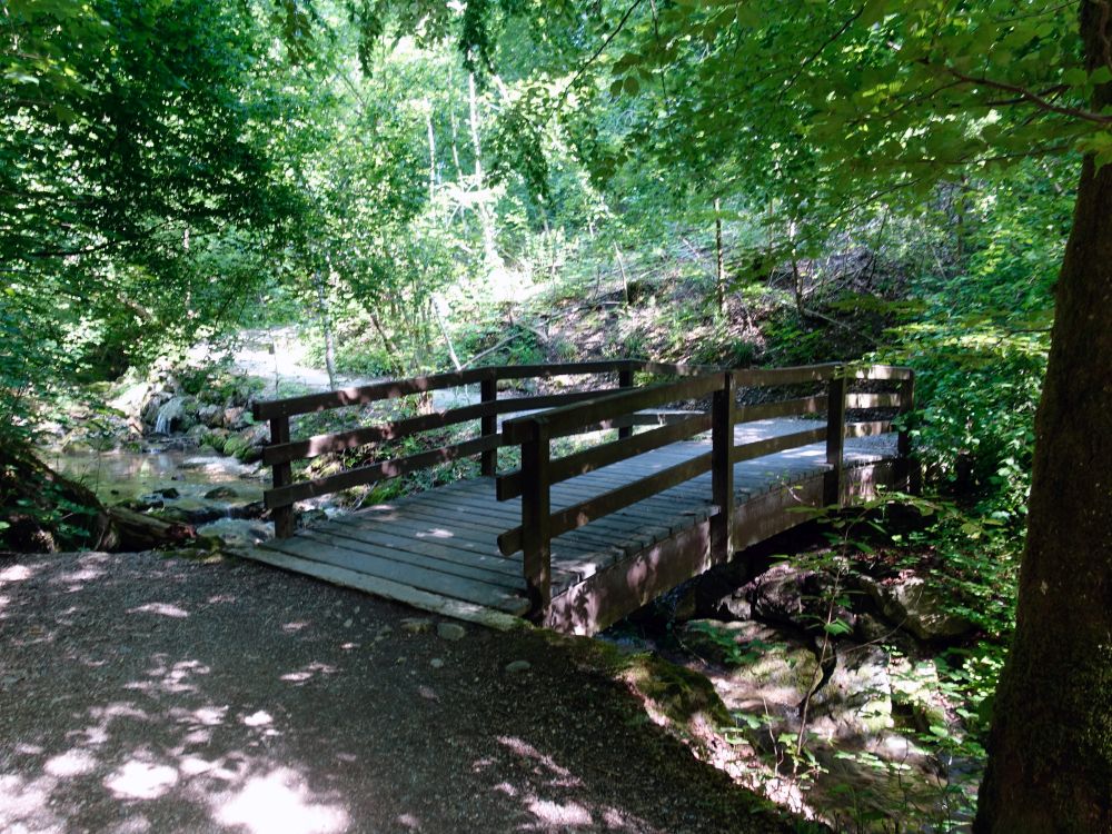 Holzsteg im Werenbachtobel