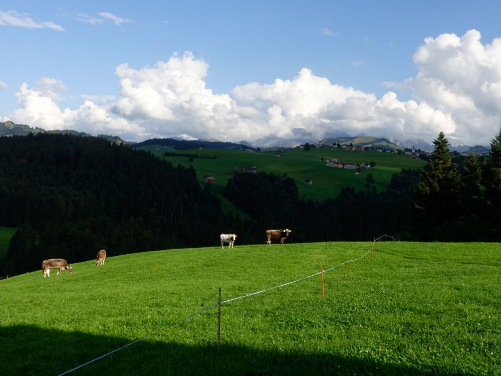 Hemberg und Hochalp, Säntis in Wolken