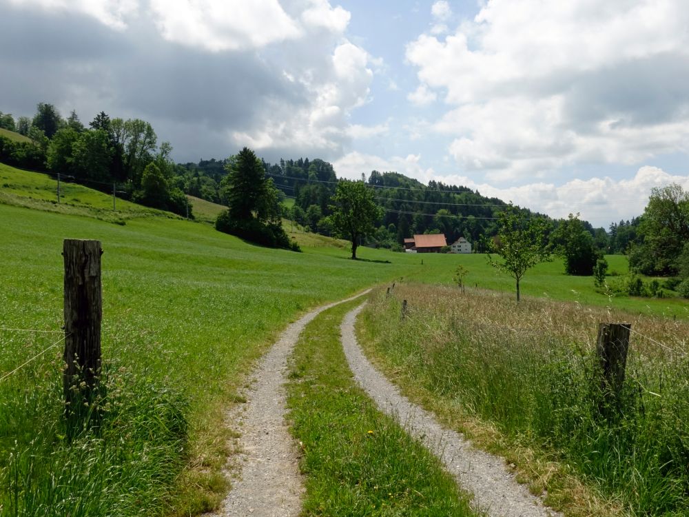 Wirtschaftsweg nach Jonatal