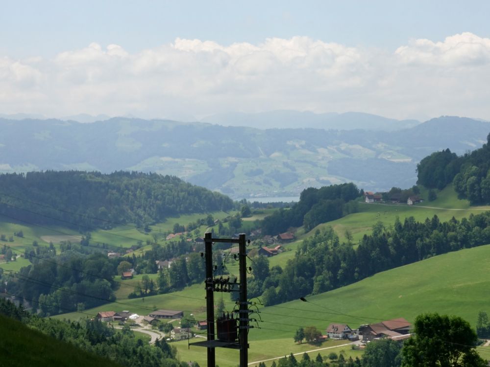 Blick zum Zürichsee