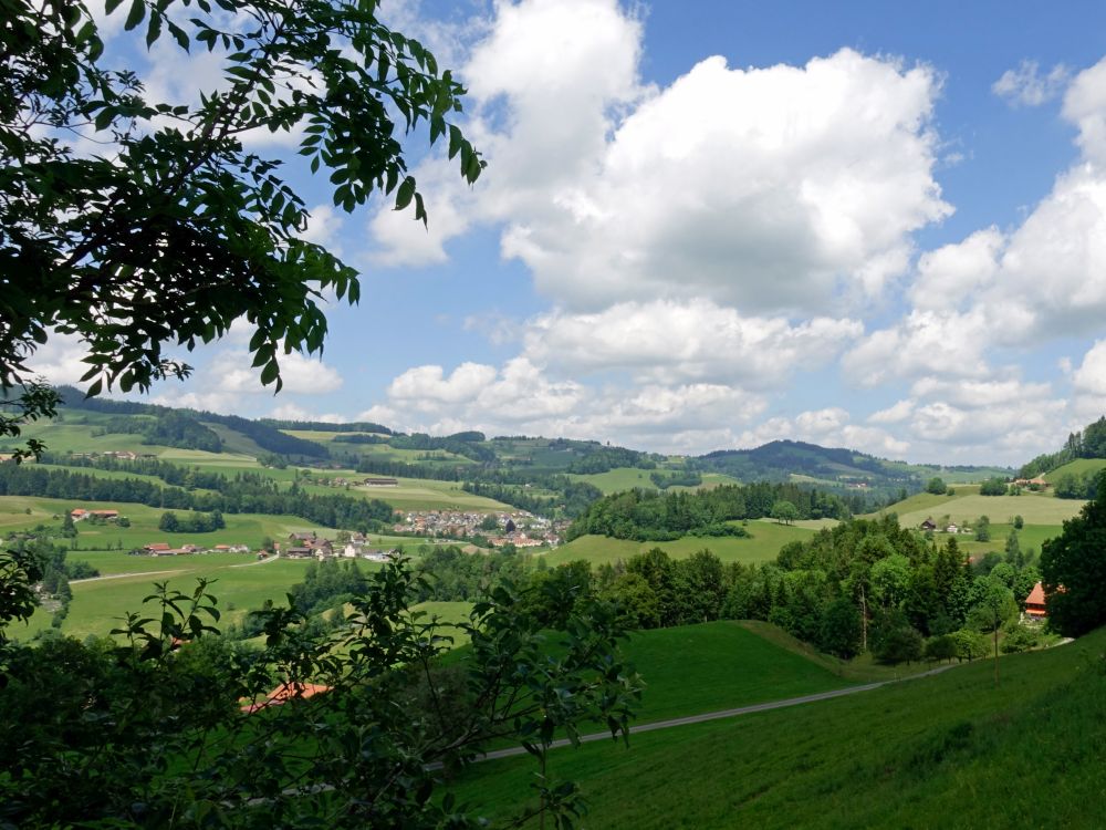 Blick Richtung Gibswil