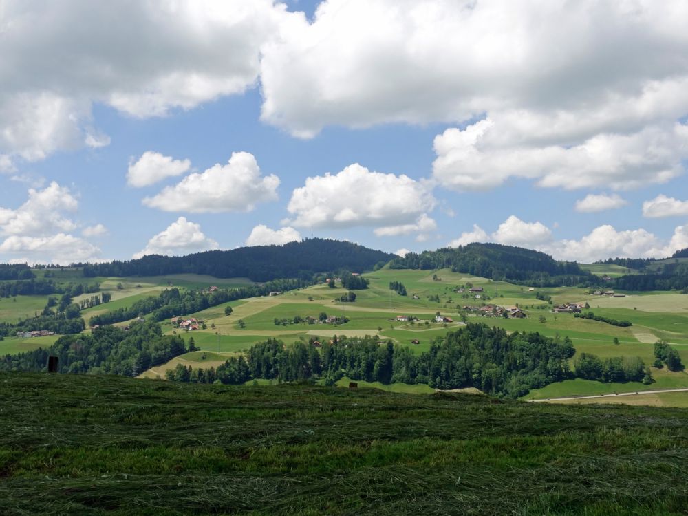 Blick Richtung Bachtel