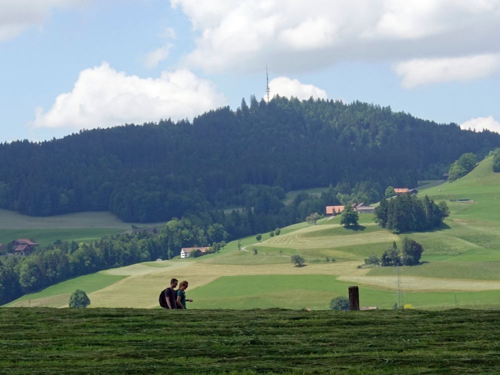 Wanderer und Turm auf dem Bachtel