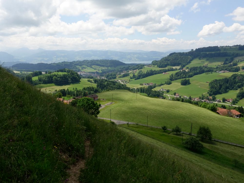 Blick Richtung Zürichsee