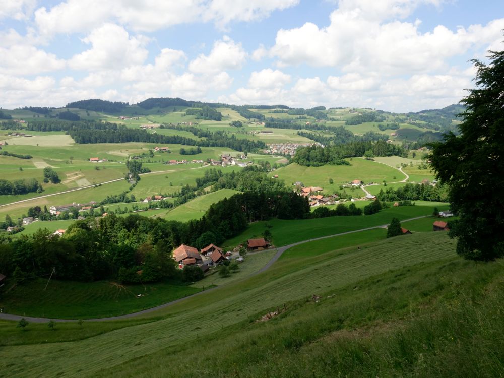 Blick Richtung Gibswil