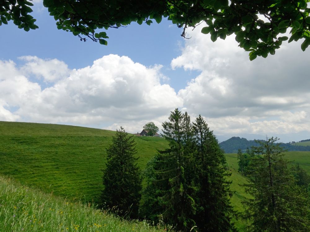 Blick zur Scheidegg