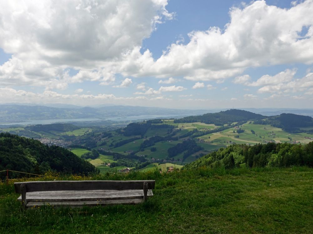 Blick zum Zürichsee