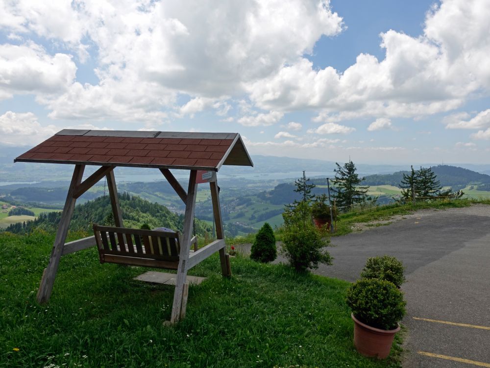 Blick zum Zürichsee