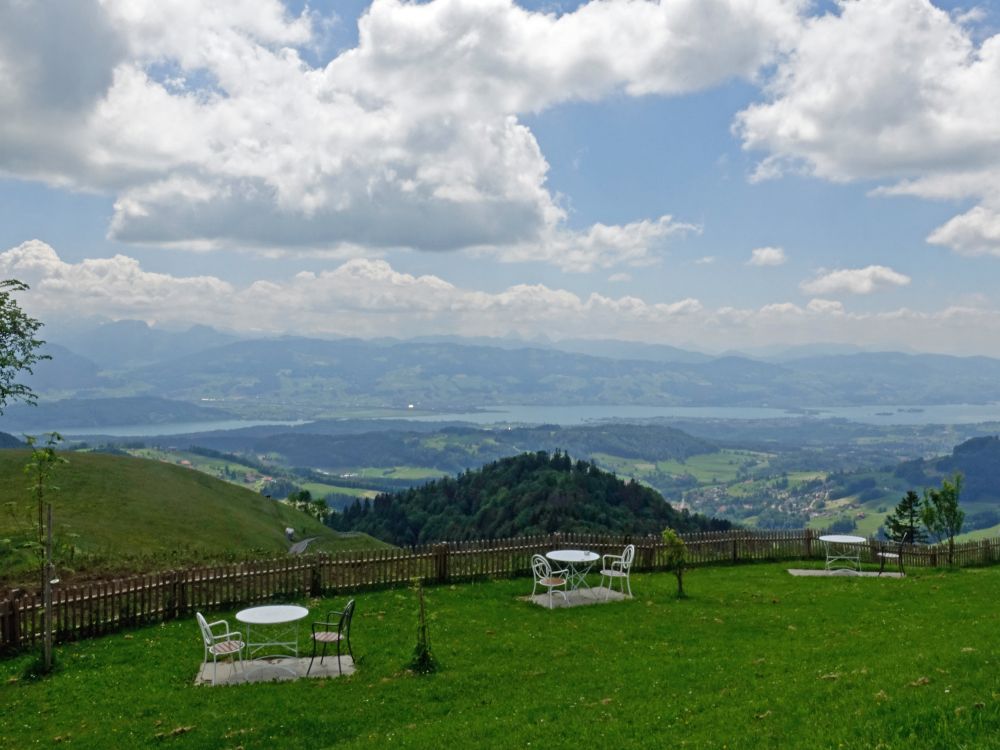 Blick zum Zürichsee