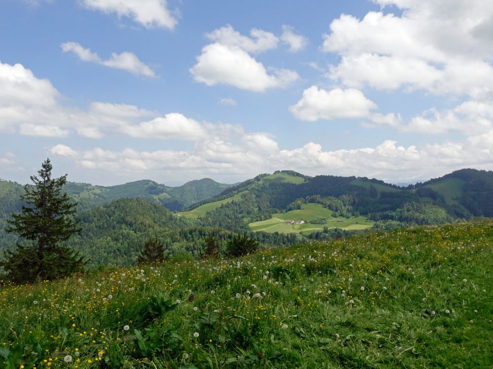 Blick Richtung Boalp