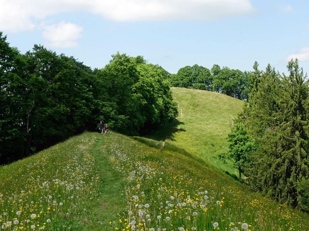 Bergpfad zur Dürrspitz