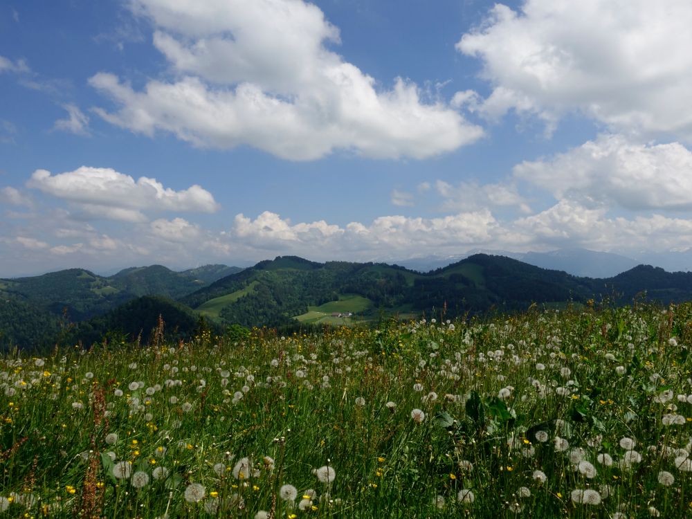 Blick Richtung Boalp