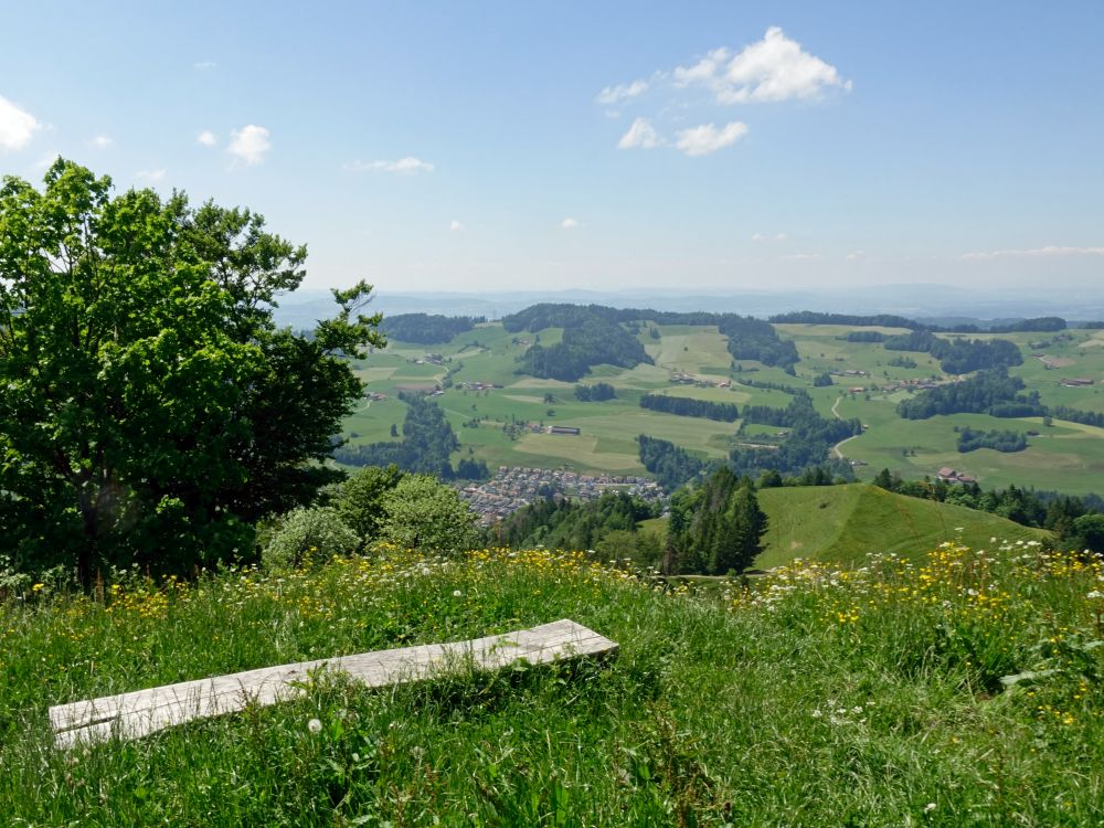 Blick auf Gibswil