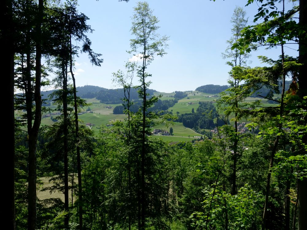 Blick Richtung Bachtel