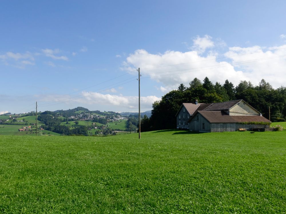 Bauernhof bei Bruggli
