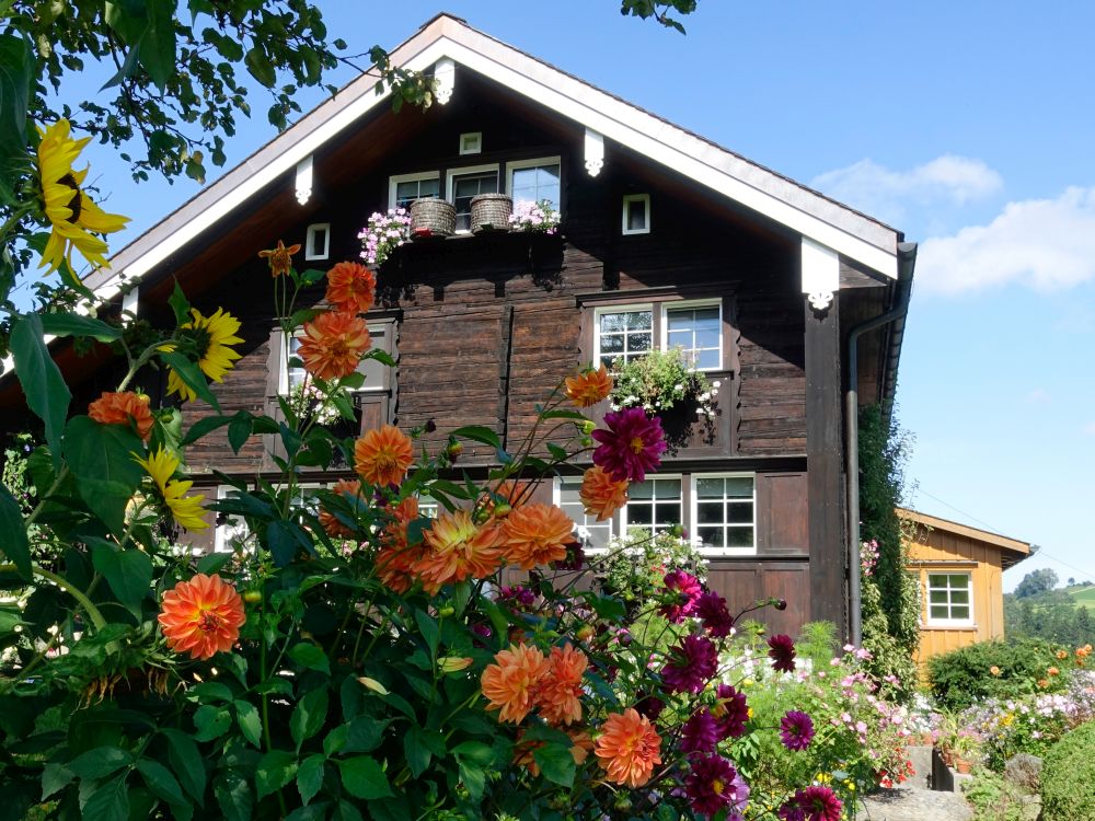 Blumen vor Holzhaus