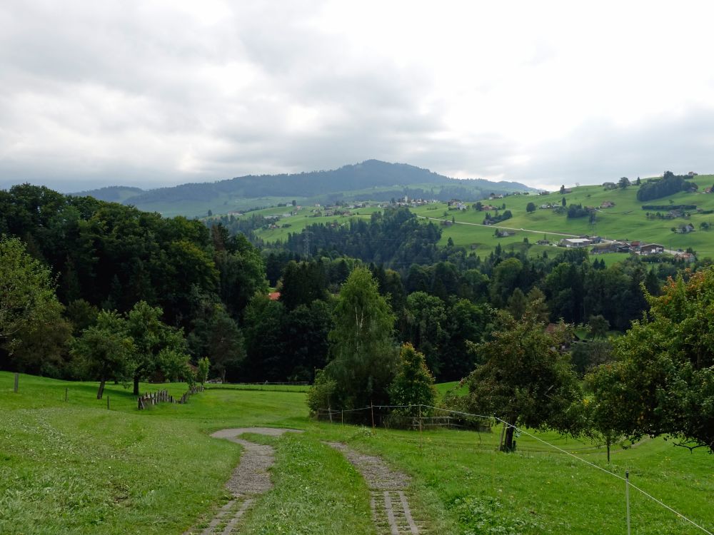 Blick Richtung Stein und Fähnerenspitz